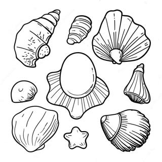 Bojanka Sa Kolekcijom Skoljki Na Plazi 101191-39620