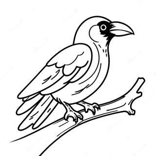 Bojanka Gavran Na Grani 104227-42085