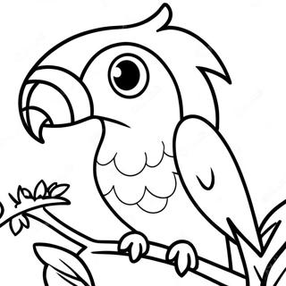 Sareni Africki Papagaj Bojanka 105000-42689