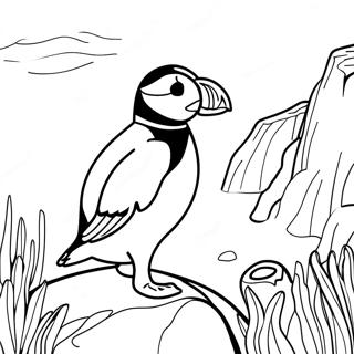 Bojanka Sa Puffin Rock Om 106206-43628