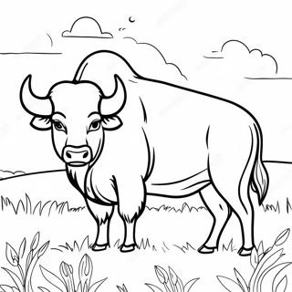 Bojanka Impozantni Bivol Na Polju 107640 44755