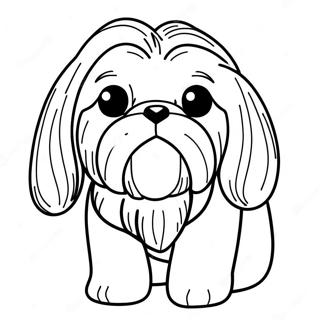 Shih Tzu Бојанке