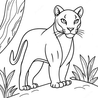 Elegantna Puma Koja Vreba Svoju Zrtvu Za Bojanje 113656-49652