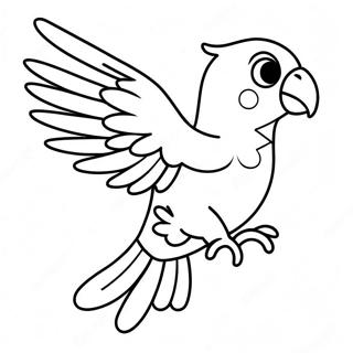 Bojanka Sarenog Papagaja 124460-58634