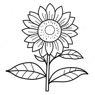 Bojanka Sa Svetlim Suncokretom 126547-60247