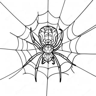 Bojanka Sa Strasnom Paukovom Mrezom 130353 63336