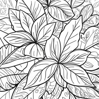 Bojanka Detaljnih Listova Bosiljka 134495 66556