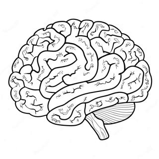 Sarena Ai Mozak Bojanka 137365 68944