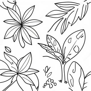 Bojanka Sarenih Biljaka Prasume 139440 70567