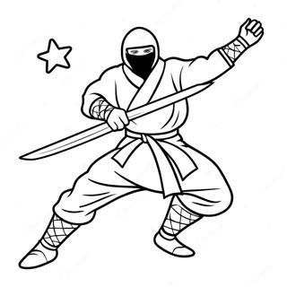 Ninja Sa Macem I Zvezdama Bojanka 14153-3095