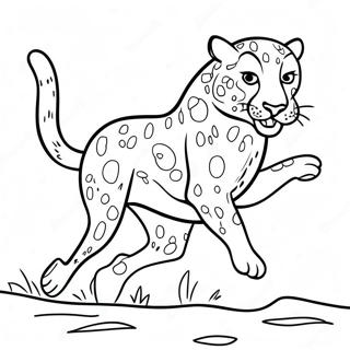 Cheetah Бојанке