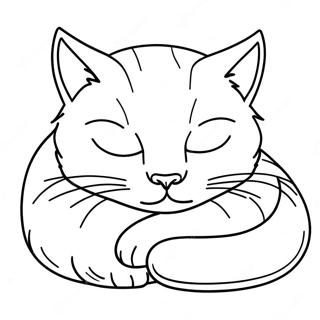 Umorna Macka Koja Spava Bojanka 2174-2795