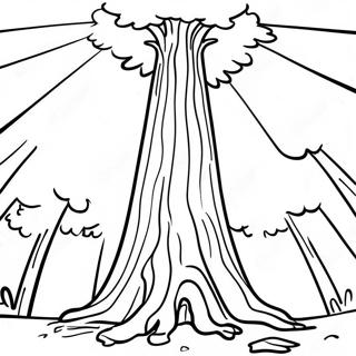 Visoko Sekvoje Bojanka 21779 4753