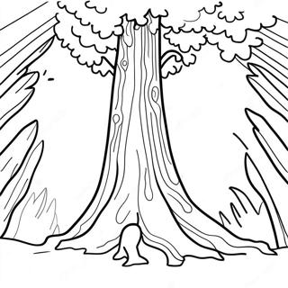 Visoko Sekvoje Bojanka 21779 4756