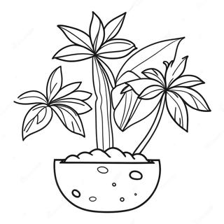 Magicni Rast Biljaka Bojanka 23496 5139