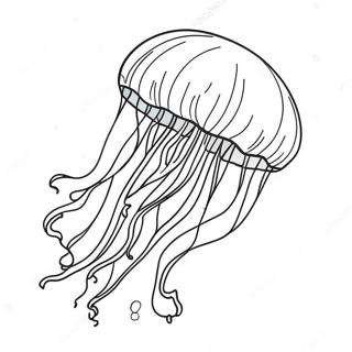 Bojanka Velicanstvena Meduza Kako Klizi Kroz Vodu 28951-6302