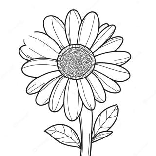 Bojanka Sa Velikim Cvetom Tratincice 38553 8421