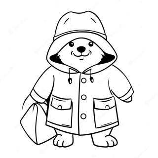 Paddington Бојанке