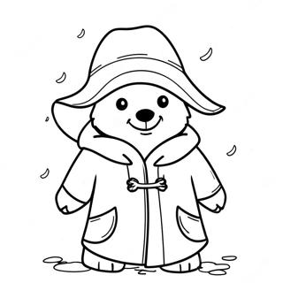 Medved Paddington U Kisnom Kaputu Bojanka 57017-12483