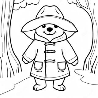 Medved Paddington U Kisnom Kaputu Bojanka 57017-12484