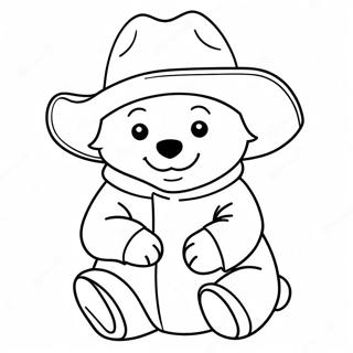 Bojanka Sa Medvedicem Paddingtonom U Sesiru 57018-12486