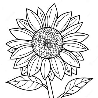 Bojanka Sa Divovskim Suncokretom 60142-13185