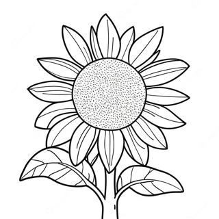 Bojanka Sa Divovskim Suncokretom 60142-13186