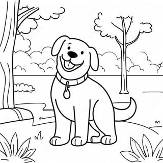 Srecni Zlatni Retriver U Parku Bojanka 67434-14760