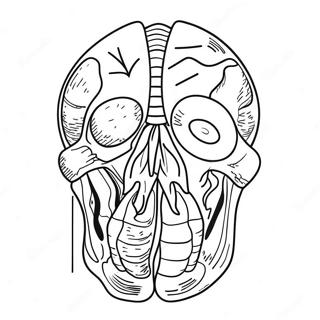 Stranica Za Bojanje Anatomije 69119-15128