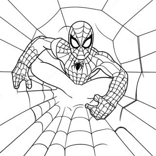 Covek Pauk Sa Mrezama Bojanka 743 24