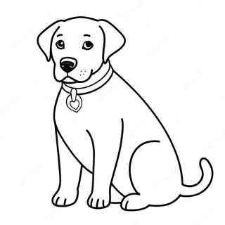 Bojanka Sa Labradorom 81981-23574