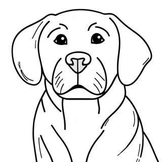 Bojanka Sa Labradorom 81981-23575