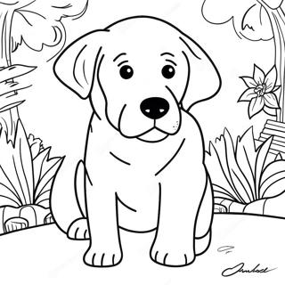 Bojanka Sa Labradorom 81981-23576