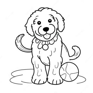 Bojanka Razigranog Goldendoodle A Sa Loptom 85520 26459