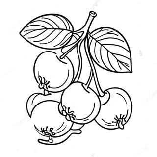 Tresnje Na Grani Bojanka 87547-28040