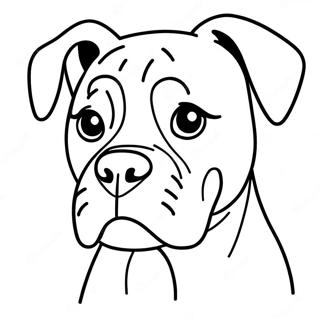 Razigrani Bokser Bojanka 89704 29880