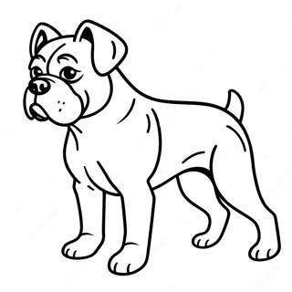 Bokser U Akciji Bojanka 89706 29886