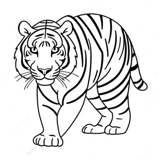 Tigar Бојанке