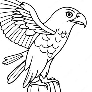 Sokol Sa Plenom Bojanka 92352-32013