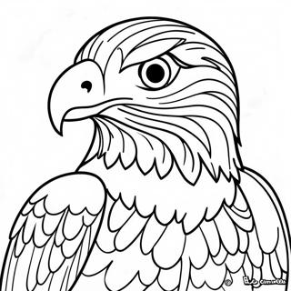 Sokol Sa Plenom Bojanka 92352-32015