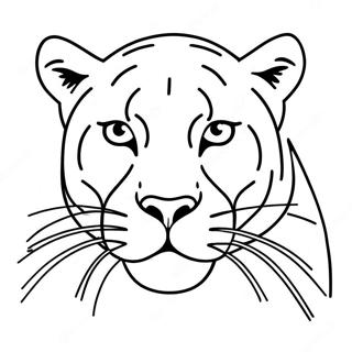 Bojanka Sa Cougarom 98880-37615