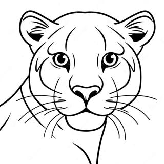 Bojanka Sa Cougarom 98880-37616