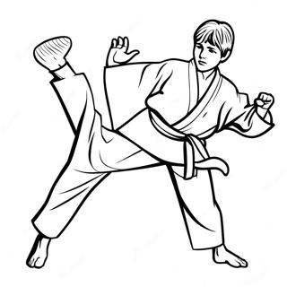 Bojanka Karate Decaka U Akciji 99986-38669